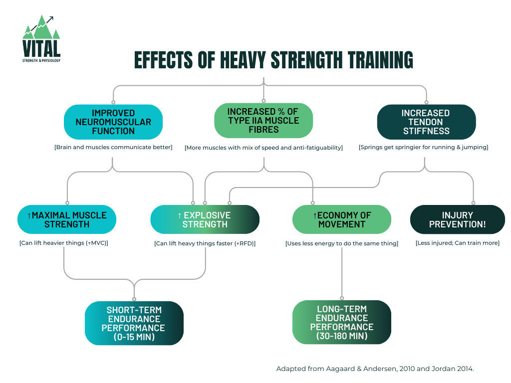 effects of heavy strength training table matt jordan aagaard andersen