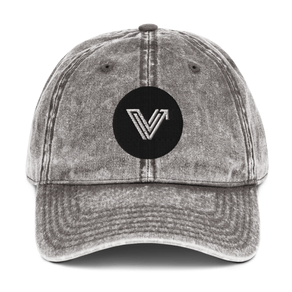 Vintage Vital Dad Cap Grey