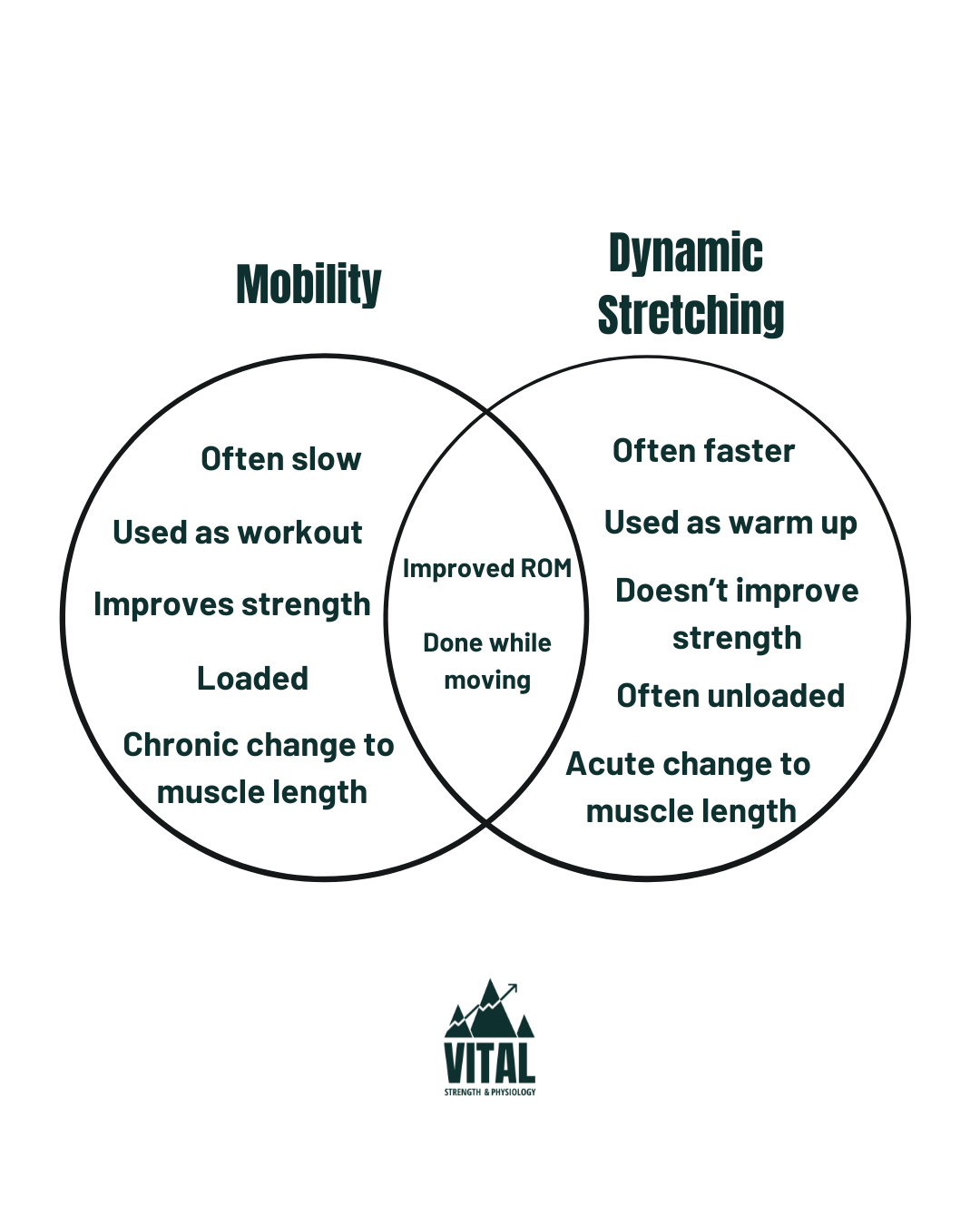 venn diagram mobility and dynamic stretching