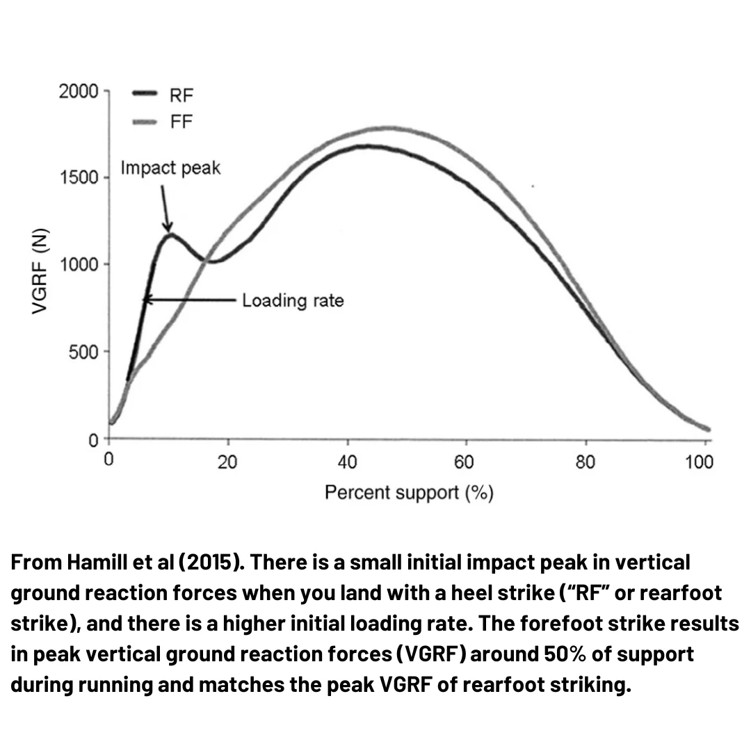 rearfoot striking vs forefoot striking